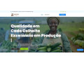 venda-sistemas-de-gerenciamento-e-sites-small-0