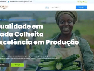 venda-sistemas-de-gerenciamento-e-sites